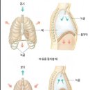 경남창원마산김해장유진해 연기학원 연기호흡의 운용-머금는 숨(상황에 따른 들숨의 자연법칙) 이미지