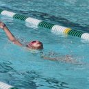 어푸어푸 이미지