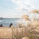 제주 서쪽 이미지