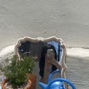 호호하우스 이미지