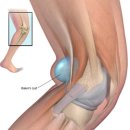 가산곧바로의원 이미지