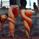 자연사랑 미술관 이미지