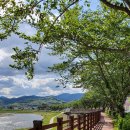 한양왕족발복어 이미지