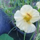 황금뜰농장 이미지