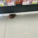 호준이옛날통닭 이미지