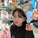 밸리츄러스 이미지