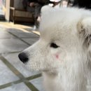겨울이머무는집 네이버블로그