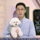 아침마당세탁 이미지