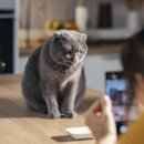 다올동물병원 이미지