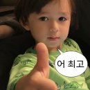 달과별들의이야기 | 강원도까지 왔는데 별은 보고가자 ! ! ! (강릉 별빛투어 후기)