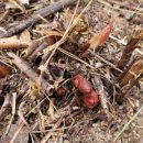 이동균 농장 이미지