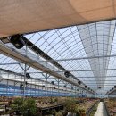 세일농장1 이미지