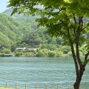 호국로 1539번길 이미지