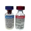 김천하나약국 이미지