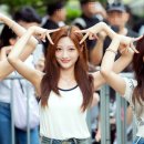 일랑이랑 이미지