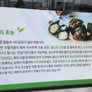 보드레모시떡송편중마점