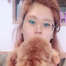 아쵸샵 이미지