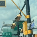 필로스 | 6월 라운딩 추천! 밥주는 골프장 필로스CC 후기｜코스 관리부터 그린 컨디션까지 솔직 리뷰ㅣ야간...