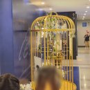 임은영헤어아트 | 2022 뮤지컬 엘리자벳 후기 _ 시즌 첫 공연 (8/30)👑