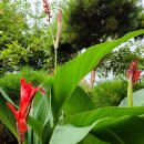 로즈마리팬션 이미지