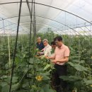 망성농협 이미지