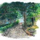 초록길도서관 이미지