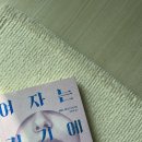쥬니파스타 이미지