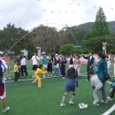 도천초등학교 이미지