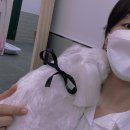 사개절 펫살롱 이미지