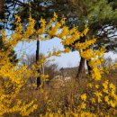 고창공설운동장 이미지