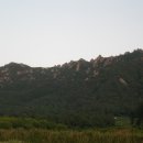 자연이좋은사람들 이미지