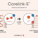한올한올 이미지