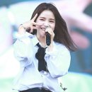 별콩 이미지