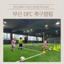 장산 축구장 | 동래구 축구교실 추천 :: DFC 축구클럽 실내센터 후기