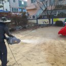 성주초교병설유치원 이미지