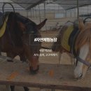 야콘냉면칼국수 이미지