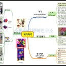 붓펜캘리&한글쓰기 2급 이미지