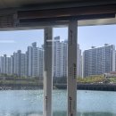 용호동 섶자리 이미지