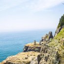 커넥트오션 이미지