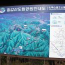 박을천 Daum카페
