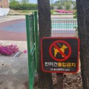 삼산유수지체육공원 이미지