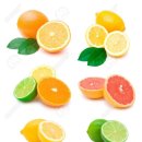 수곡농장 이미지