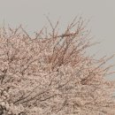 살빼고멋내고