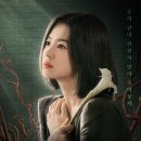 (주)키노라이츠 이미지