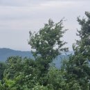 성고개로 이미지