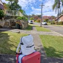 서운야외공연장 야외공연장 | 시드니 크루즈 4박 5일 여행 생생후기 1일차