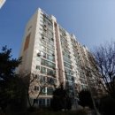 무궁화태영 이미지