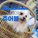 양원1번약국