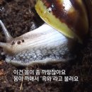 김인현 농장 네이버블로그