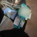 천사유치원_경계10m | 방황 총량의 법칙